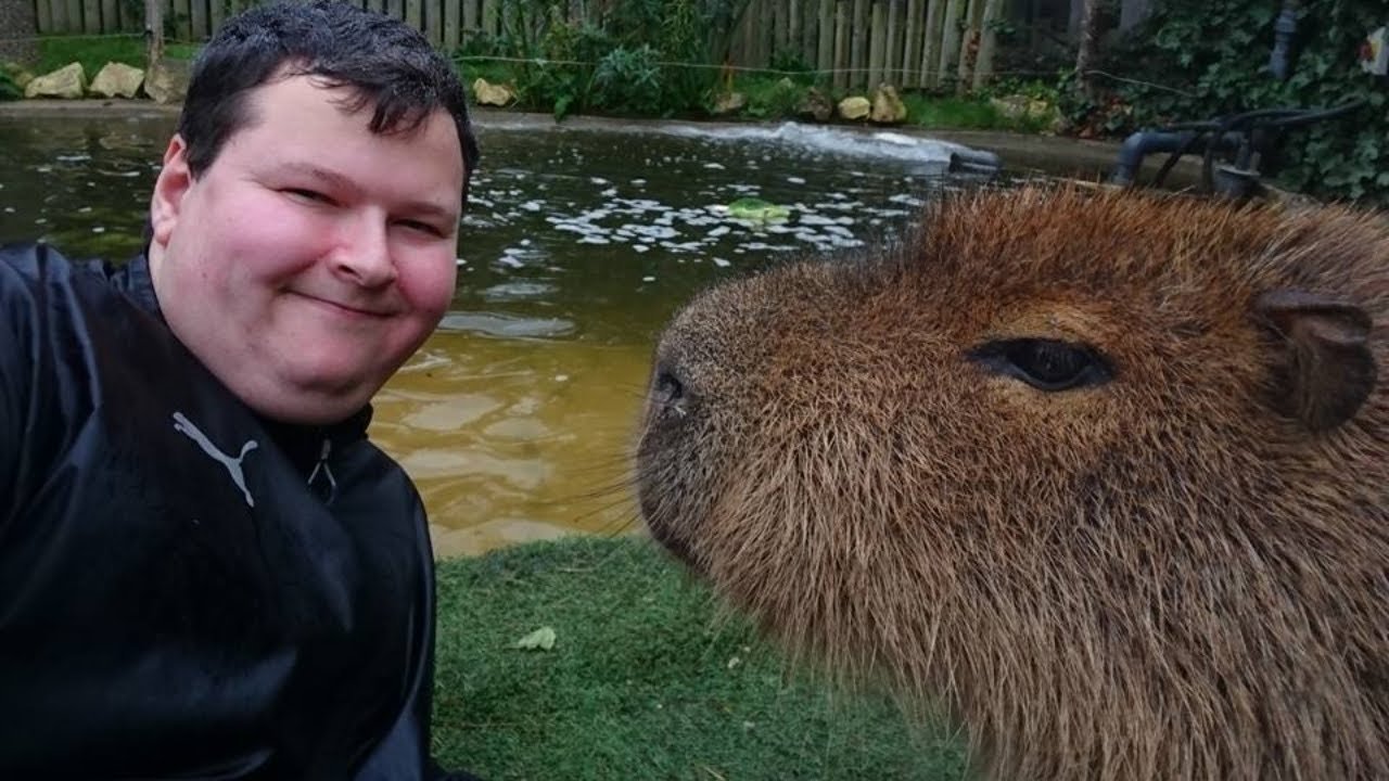 🐾 카피바라 랜드 뿌이뿌이 (Capybara Land PUIPUI) 이미지 3